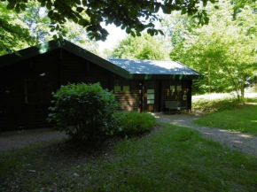 Twistesee Ferienhaus 110